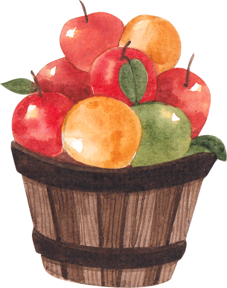 Watercolor Bucket of Fruits